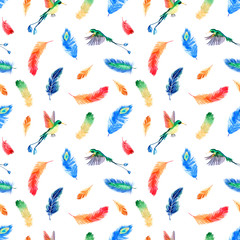 Watercolor summer seamless pattern with bright tropical feathers and hummingbirds on white background