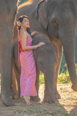 Fototapeta premium Beautiful thai women wearing traditional thai clothes standing on an elephant in nature park thailand, woman concept