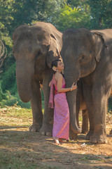 Obraz premium Beautiful thai women wearing traditional thai clothes standing on an elephant in nature park thailand, woman concept