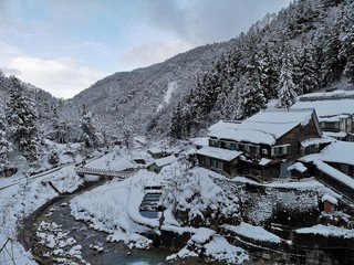 Jigokudani Monkey Park