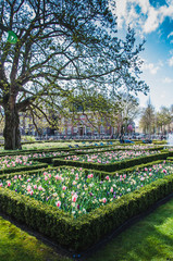 The Rijkmuseum and its gardens and its surroundings in Amsterdam