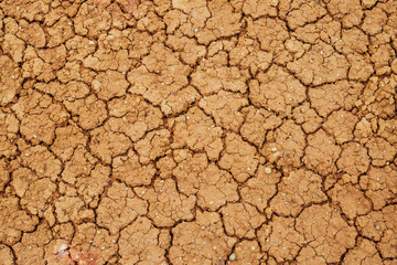 Nature background of cracked dry lands. Natural texture of soil with cracks. Broken clay surface of barren dryland wasteland close-up. Full frame to terrain with arid climate. Lifeless desert on earth