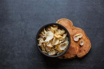 White fungus on a dark background
