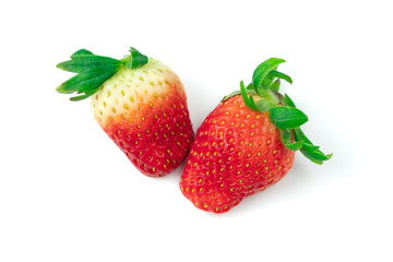 Close up Fresh strawberry fruit placed on a white background