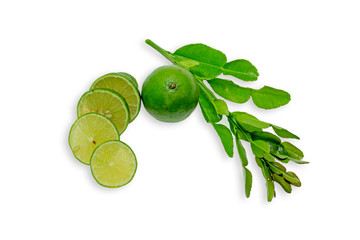 Juicy fresh lime slices on white background, top view
