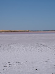 Pink Lake