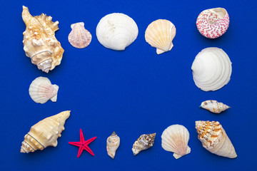Summer time concept with sea shells and starfish on blue background, copy space. Flat lay, top view
