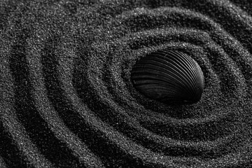 Fototapeta na wymiar Black shell on a black sand dunes background. Black design.