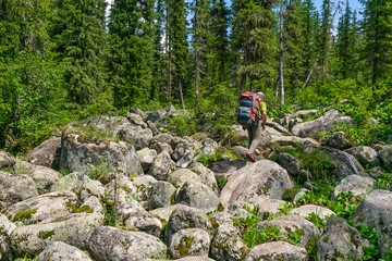 A man with a backpack walks large stones among the dense green forest . The concept of outdoor recreation eco-tourism.