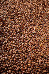 Close-up of roasted coffee beans