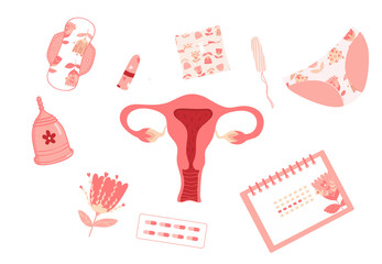 Vector set of female hygiene products. Menstrual cup, tampons, pads, eco pads, panties, woman's body, calendar of menstrual cycle. Set of personal hygiene vector illustration. 