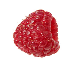 Raspberry berry single isolated on white background, close-up