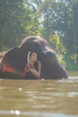 Beautiful thai women wearing traditional thai clothes standing on an elephant in nature park thailand, woman concept
