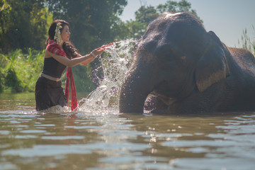 Beautiful thai women wearing traditional thai clothes standing on an elephant in nature park thailand, woman concept