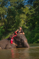 Fototapeta na wymiar Beautiful thai women wearing traditional thai clothes sitting on an elephant in nature park thailand, woman concept
