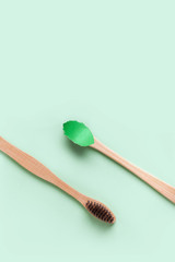 Minimalistic background with two wooden toothbrushes and a mint paper leaf.