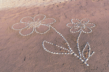 Drawing on a sandy beach.
