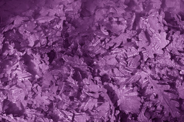 Abstract background. Image of frozen oak leaves under the ice.