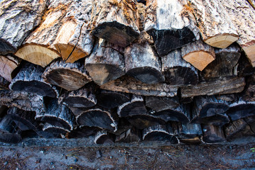 Wood pile stocked ready for a cosy, winter fire.