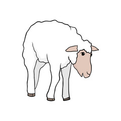 Sheep. One of the symbols of farm, country and village. Template for icon, sticker or part of garland. Vector illustration.