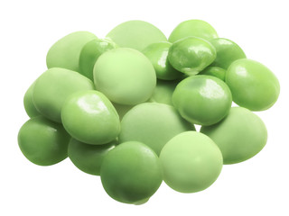 Fresh lentils l. culinaris, paths