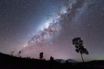 Obraz na płótnie Canvas Beautiful view of milky way and silhouette trees on the way to Kawah Ijen in Java, Indonesia.