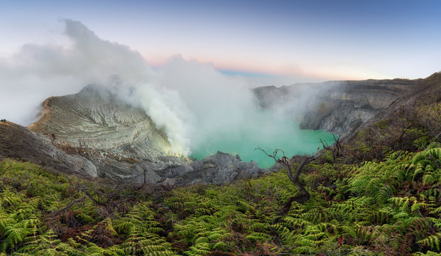 Beautiful panorama view of Kawah Ijen with green fern foreground at dawn in Java island, Indonesia.