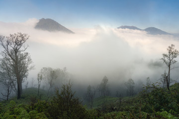 View of the way to Kawah Ijen that plenty of mist in the morning in Java, Indonesia.