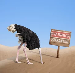 Tuinposter bang struisvogel met kop in het zand in de buurt van waarschuwing quarantaine houten bord. © Andrey Kuzmin