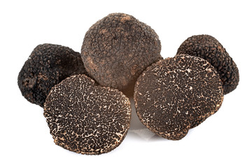 Tuber melanosporum in studio