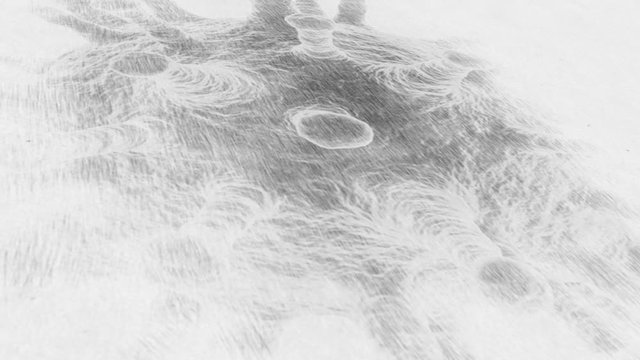 Drawing pencil corona virus black and white background detail