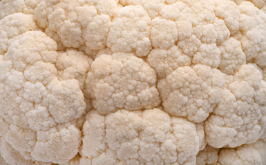 cauliflower in studio