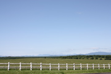 広々とした青空と草原と白い柵