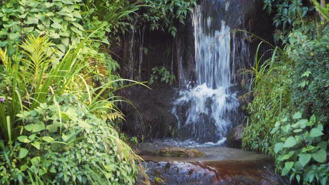 Small waterfall on a tropical mountain stream