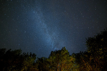 Fototapeta na wymiar Milk Way night sky over pine trees at Soodla, Estonia