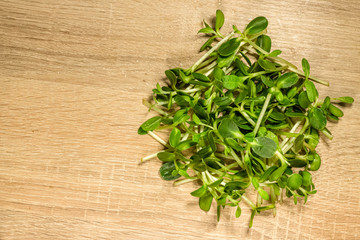 Homegrown sunflower microgreen sprouts on wooden deck top view. Concept of health and growing. Modern gastronomy