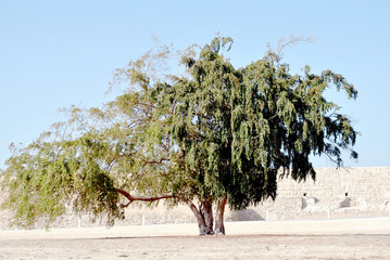 Bahrain National Fort view at Sunny day