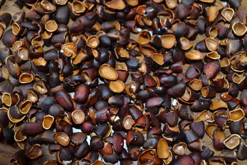 Pine nuts and shells from them.