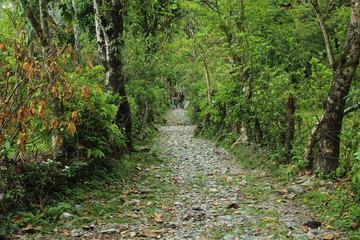 Narrow path in a village