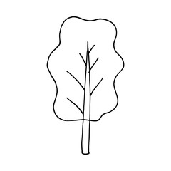 Vector cartoon hand drawn sketch tree design element. Doodle illustration on white