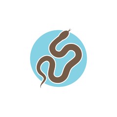 Snake icon in trendy design style. Snake icon isolated on white background