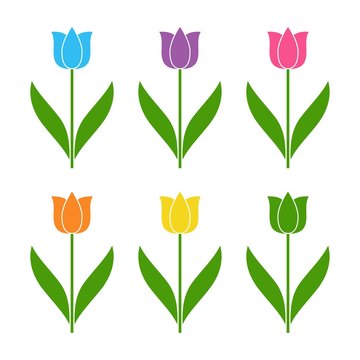 flat icon on white background tulip blooms . 8 March . Women s spring day.