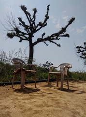 bench in park