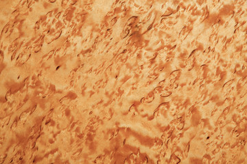 Karelian birch wood, natural wooden pattern