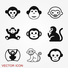 Vector monkey icon isolated on background. Animal symbol