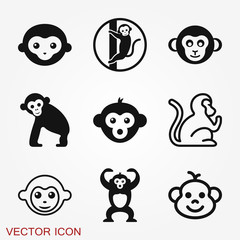 Vector monkey icon isolated on background. Animal symbol