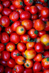 red tomatoes background. Group of tomatoes