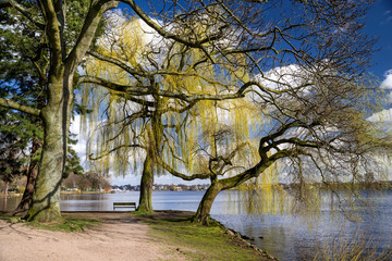 Hamburg Vorfrühling Ufer Aussenalster Rotherbaum