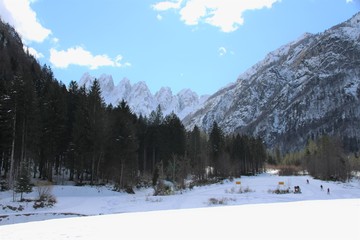 ALPI CARNICHE