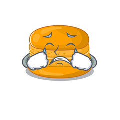 A Crying orange macaron cartoon mascot design style